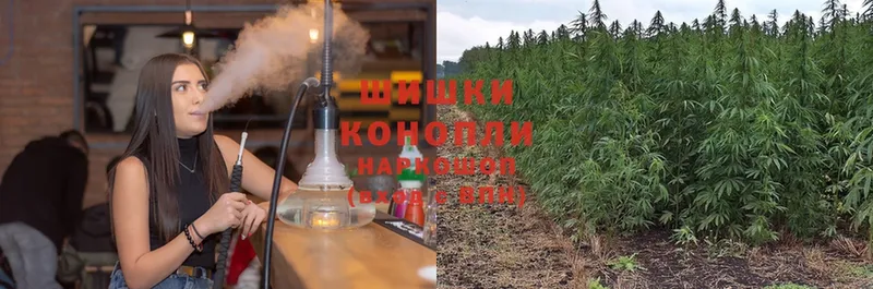 маркетплейс официальный сайт  продажа наркотиков  Баймак  Бошки марихуана OG Kush 